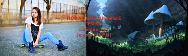 ECSTASY Заволжск