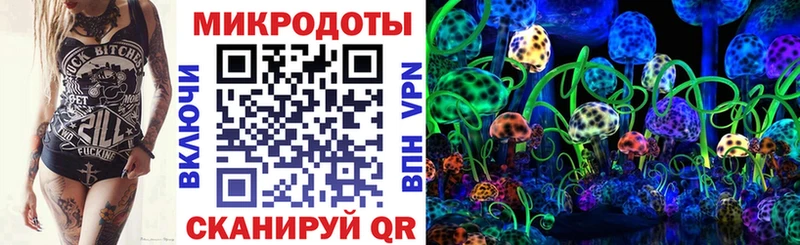 Псилоцибиновые грибы прущие грибы  Купить закладки  Зубцов 